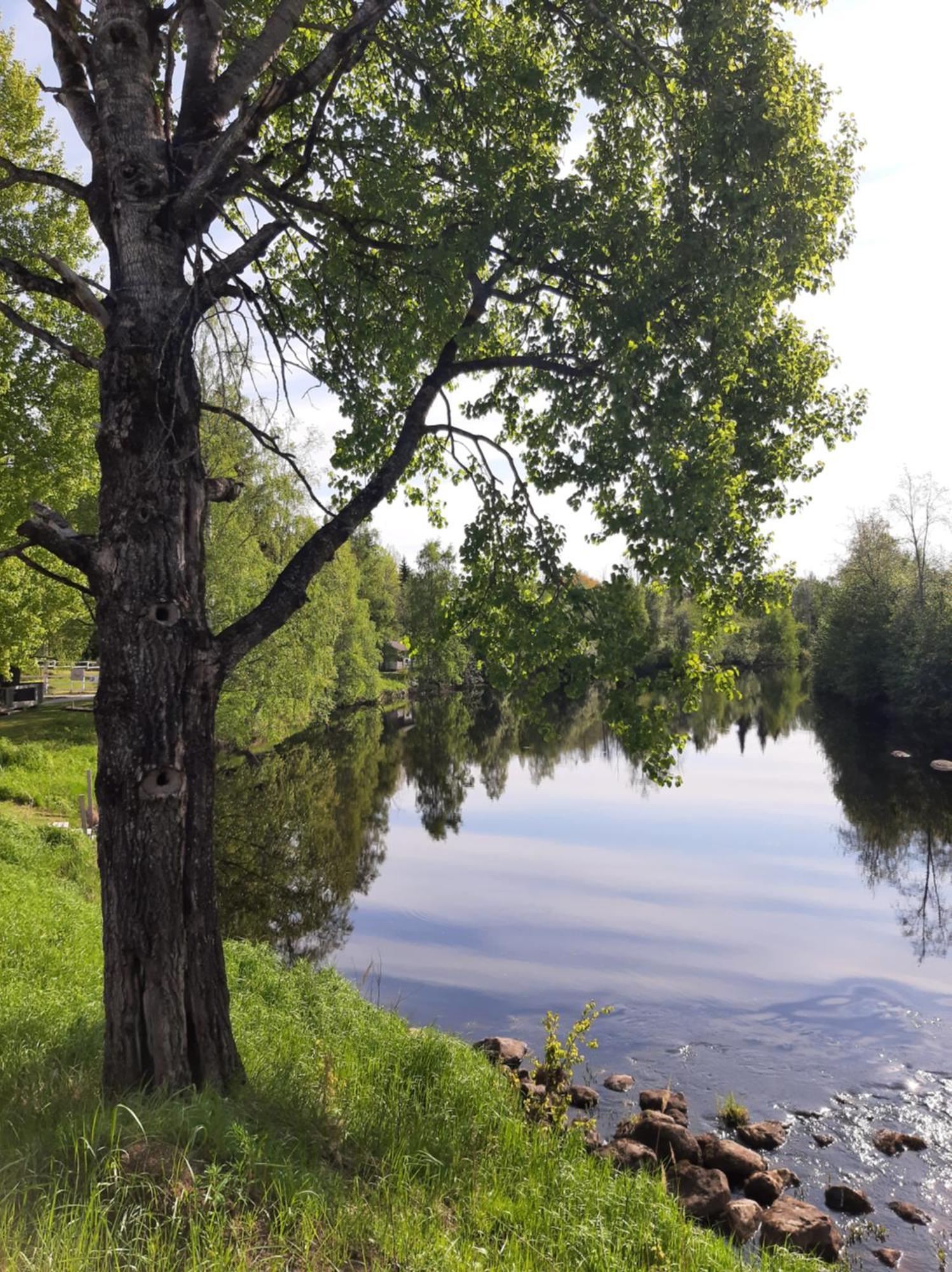 Hotel Huhtaniemen Moekkikylae Veteli Exteriér fotografie